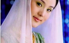 新恋爱时代一共多少集